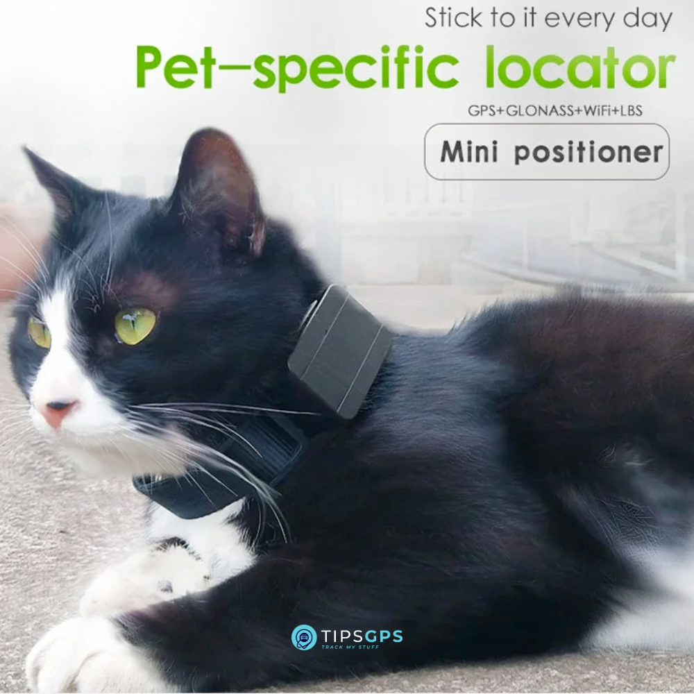 Pet / Livestock GPS Tracker + 1 Year Plan.