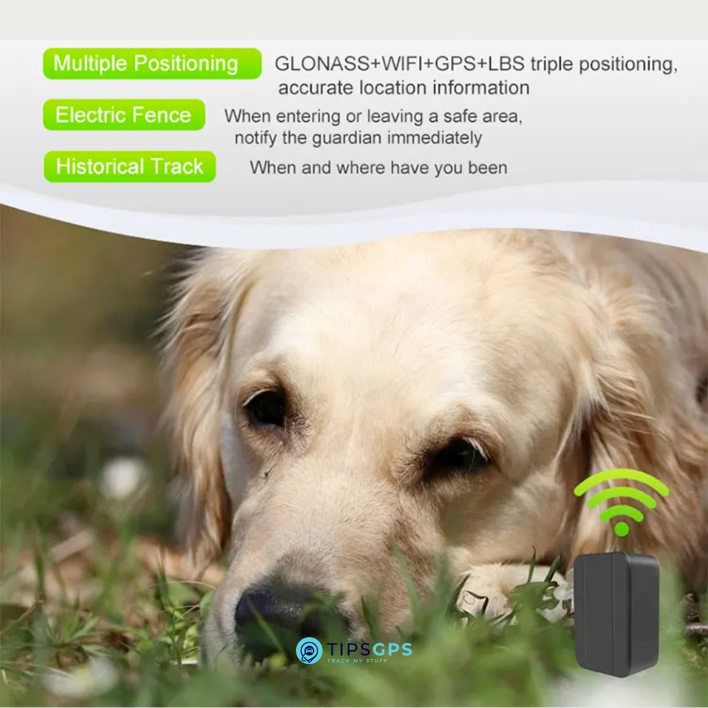 Pet / Livestock GPS Tracker + 1 Year Plan.