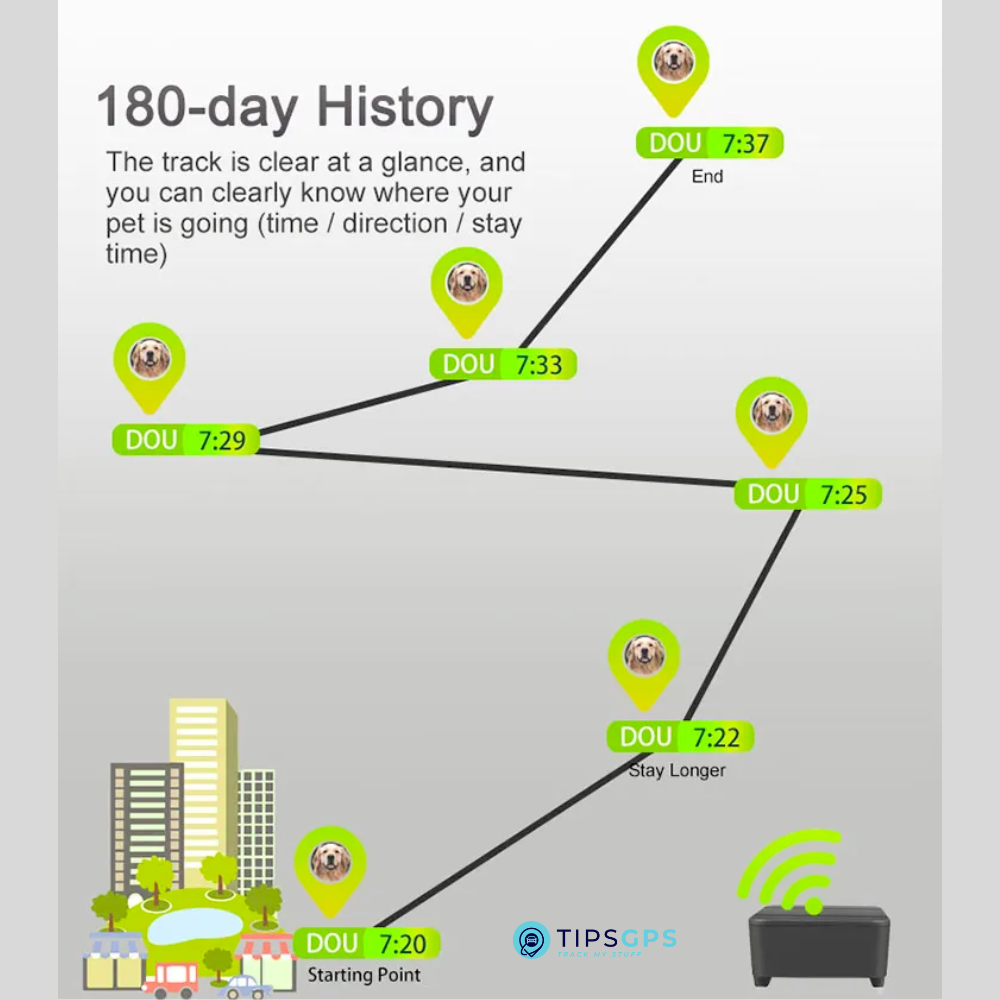 Pet / Livestock GPS Tracker + 1 Year Plan.