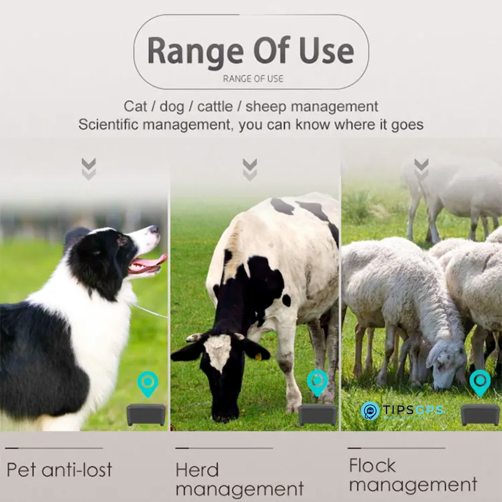 Pet / Livestock GPS Tracker + 1 Year Plan.