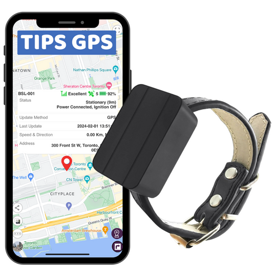 Pet / Livestock GPS Tracker + 1 Year Plan.